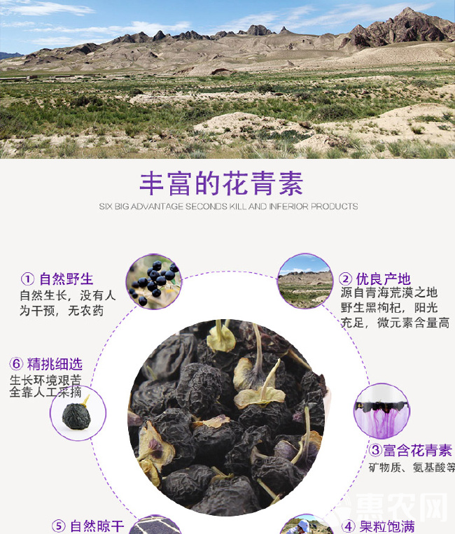 青海黑枸杞——滋养健康的秘宝