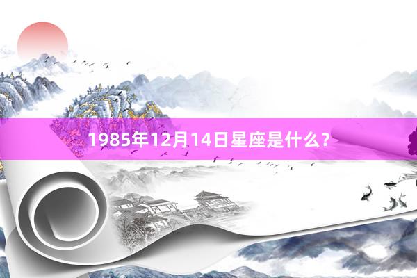 1985年12月14日星座是什么？