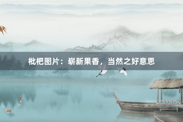 枇杷图片：崭新果香，当然之好意思