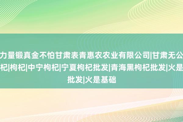 力量锻真金不怕甘肃表青惠农农业有限公司|甘肃无公害枸杞|枸杞|中宁枸杞|宁夏枸杞批发|青海黑枸杞批发|火是基础