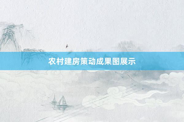 农村建房策动成果图展示