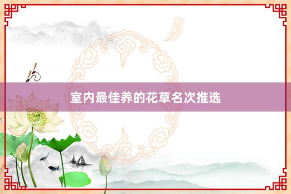 室内最佳养的花草名次推选
