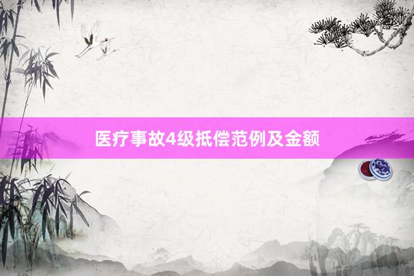 医疗事故4级抵偿范例及金额