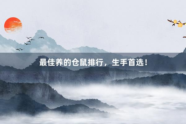 最佳养的仓鼠排行，生手首选！