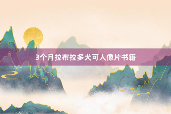 3个月拉布拉多犬可人像片书籍