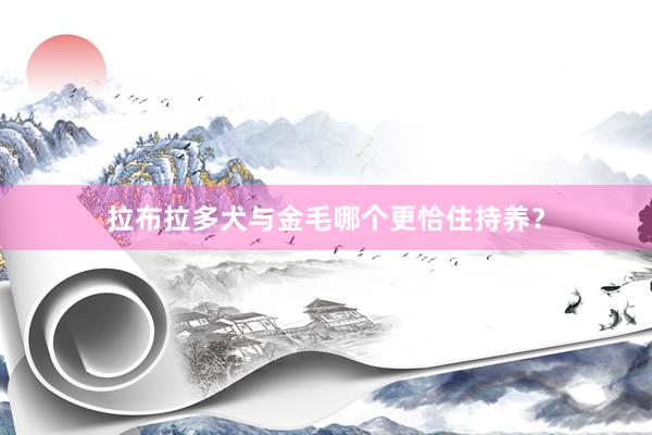 拉布拉多犬与金毛哪个更恰住持养？